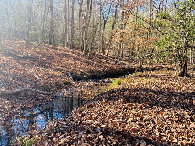 Lot 205 Windy Mountain Peak Lane, Murphy, NC 28906