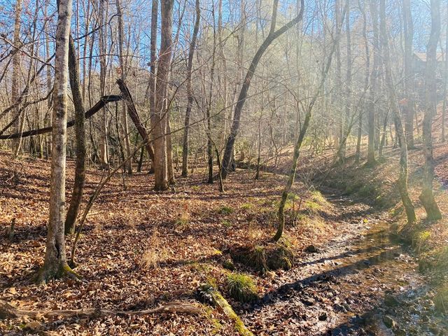 Lot 205 Windy Mountain Peak Lane, Murphy, NC 28906
