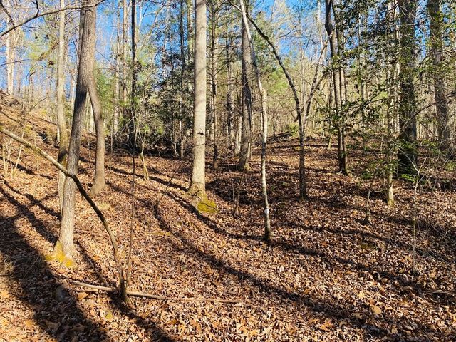 Lot 205 Windy Mountain Peak Lane, Murphy, NC 28906
