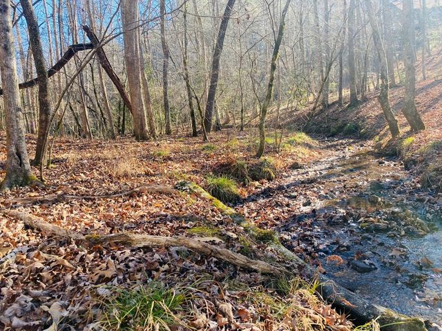 Lot 205 Windy Mountain Peak Lane, Murphy, NC 28906