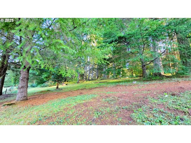 34336 STEWART HILLS Ln, Cottage Grove, OR 97424