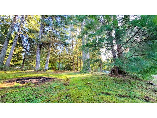 34336 STEWART HILLS Ln, Cottage Grove, OR 97424