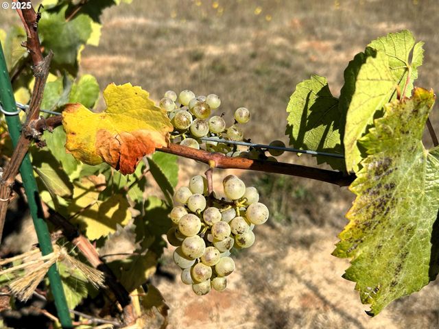 34336 STEWART HILLS Ln, Cottage Grove, OR 97424