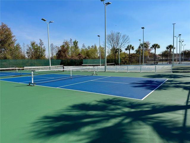 30256 LACLEDES LANE, Wesley Chapel, FL 33543