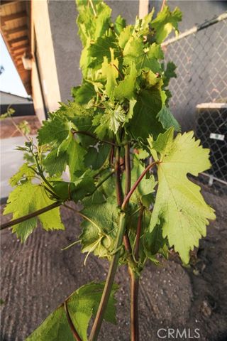 6736 Summit Valley, Hesperia, CA 92345