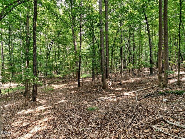 1514 Anterra Drive, Wake Forest, NC 27587