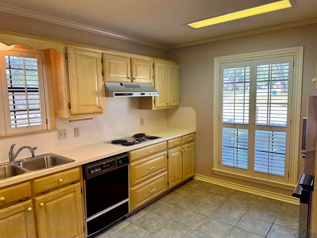 1617 McAllen, Henderson, TX 75654