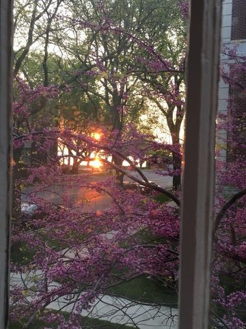 496 Sheridan Road 1, Evanston, IL 60202