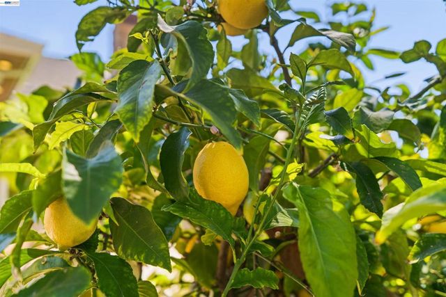 4071 Walnut Dr, Pleasanton, CA 94566