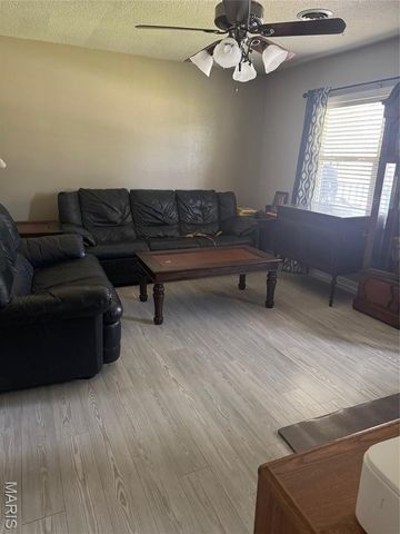 1013 Susan Street, Dexter, MO 63841