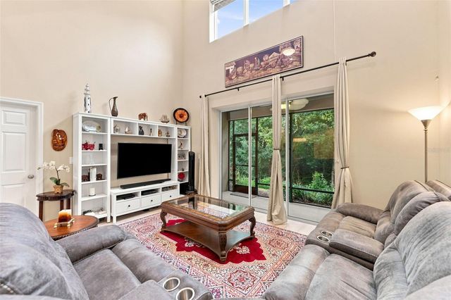 8738 TERRACINA LAKE DRIVE, Tampa, FL 33625
