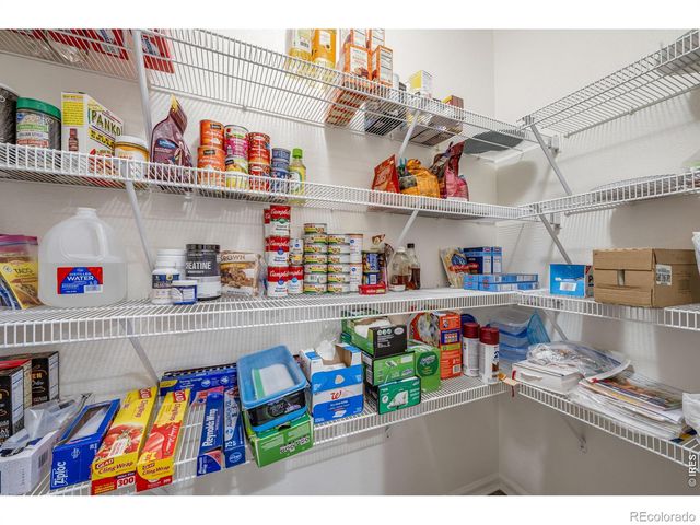 1848 Elk Springs Street, Loveland, CO 80538