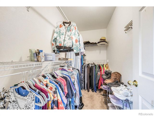 1848 Elk Springs Street, Loveland, CO 80538
