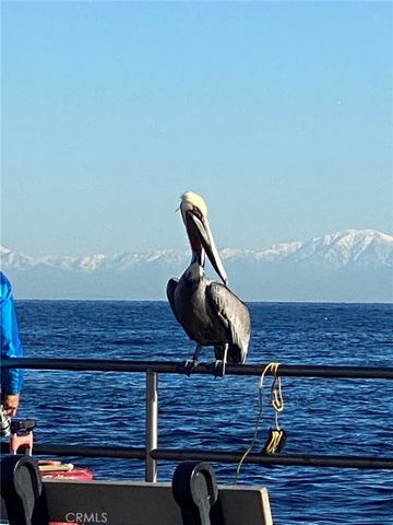 352 354 Eucalyptus, Avalon, CA 90704