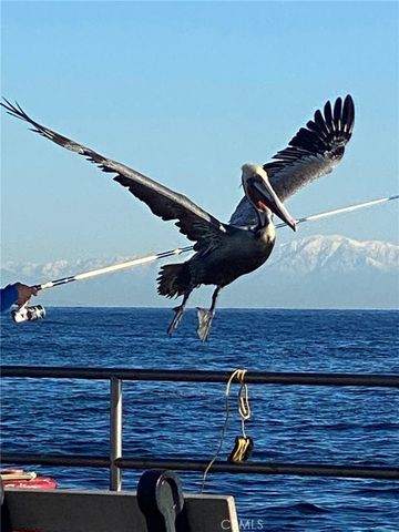 352 354 Eucalyptus, Avalon, CA 90704