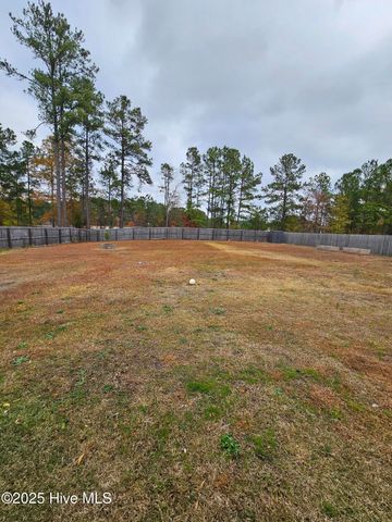 6242 Esau Street, Linden, NC 28356