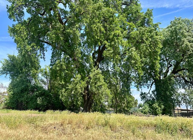 720 E Worth Avenue 82, Porterville, CA 93257