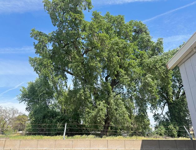 720 E Worth Avenue 82, Porterville, CA 93257