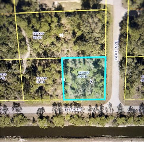 807 8th St E, Lehigh Acres, FL 33972