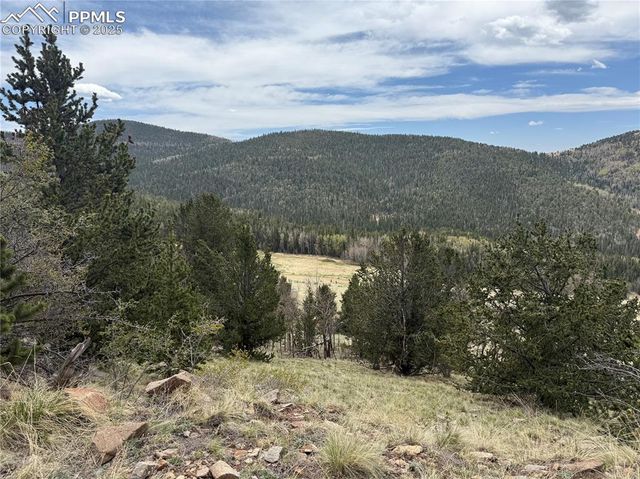 Highway 67, Cripple Creek, CO 80813