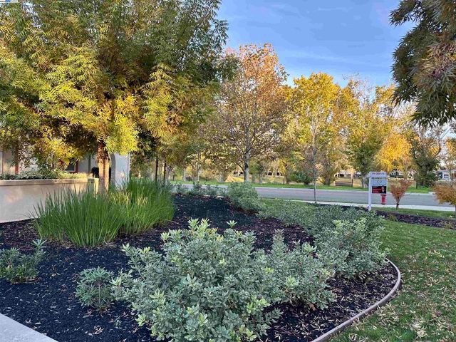 372 S Caballo Street, Mountain House, CA 95391