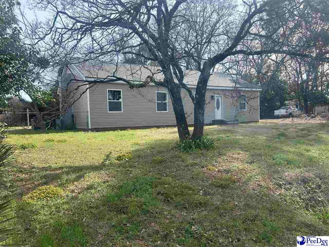 207 W Smith Ave, Darlington, SC 29532