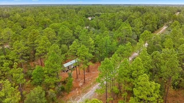 10890 SE 133RD AVENUE, Dunnellon, FL 34431