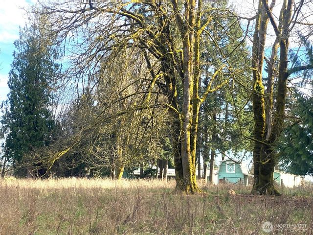 9444 Lundeen Road SW, Rochester, WA 98579