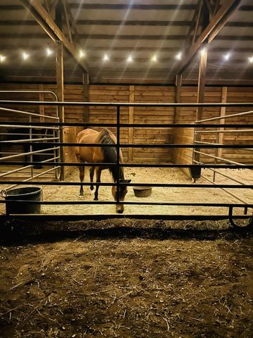 8596 Silver Bridge Road, Palo Cedro, CA 96073