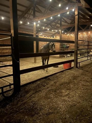 8596 Silver Bridge Road, Palo Cedro, CA 96073