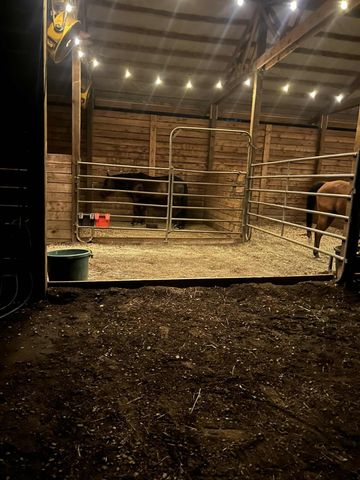 8596 Silver Bridge Road, Palo Cedro, CA 96073