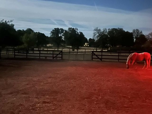 8596 Silver Bridge Road, Palo Cedro, CA 96073