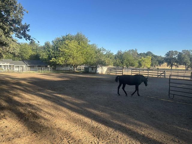 8596 Silver Bridge Road, Palo Cedro, CA 96073