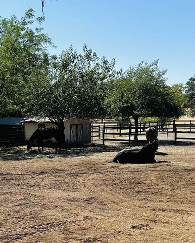 8596 Silver Bridge Road, Palo Cedro, CA 96073