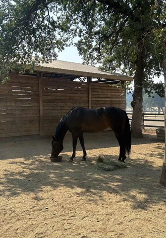 8596 Silver Bridge Road, Palo Cedro, CA 96073