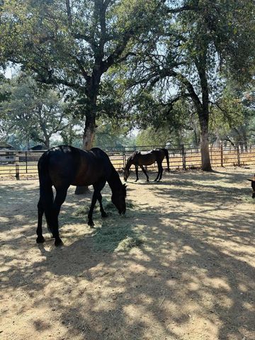 8596 Silver Bridge Road, Palo Cedro, CA 96073