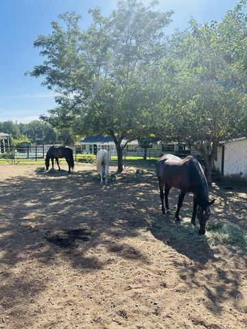 8596 Silver Bridge Road, Palo Cedro, CA 96073