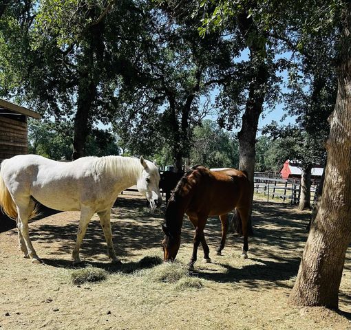 8596 Silver Bridge Road, Palo Cedro, CA 96073