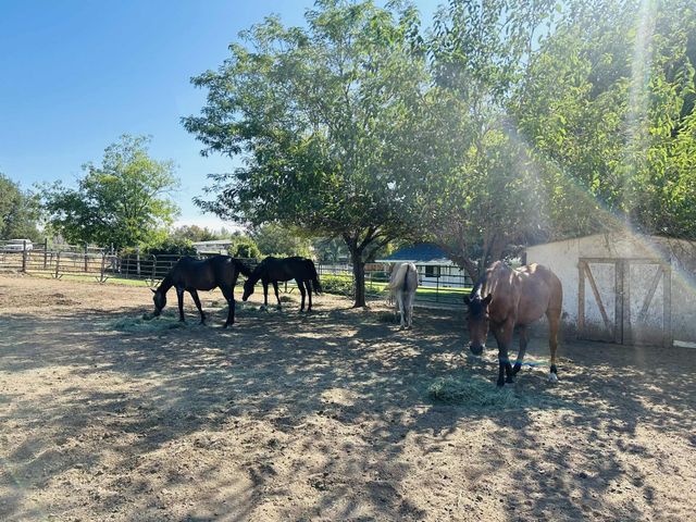 8596 Silver Bridge Road, Palo Cedro, CA 96073