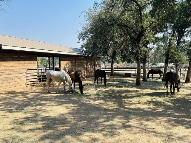 8596 Silver Bridge Road, Palo Cedro, CA 96073