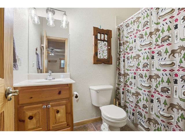 819 Hi Meadow Dr, Bailey, CO 80421