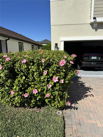 18023 FENDERS WAY, Land O Lakes, FL 34638