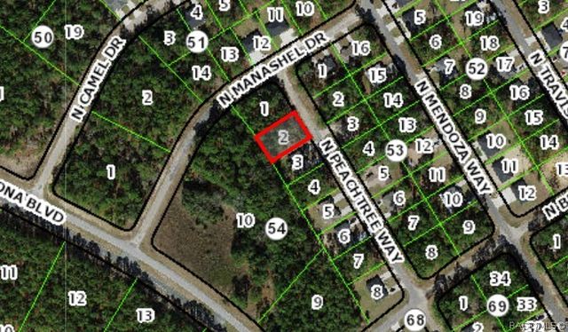 9390 N Peachtree Way, Citrus Springs, FL 34434