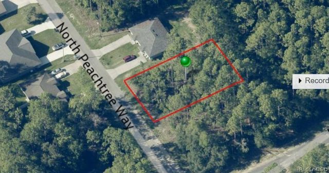 9390 N Peachtree Way, Citrus Springs, FL 34434