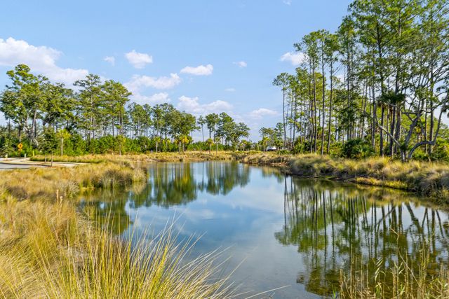 1077 Ship Builder Street, Daniel Island, SC 29492