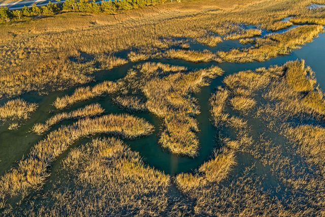 1077 Ship Builder Street, Daniel Island, SC 29492