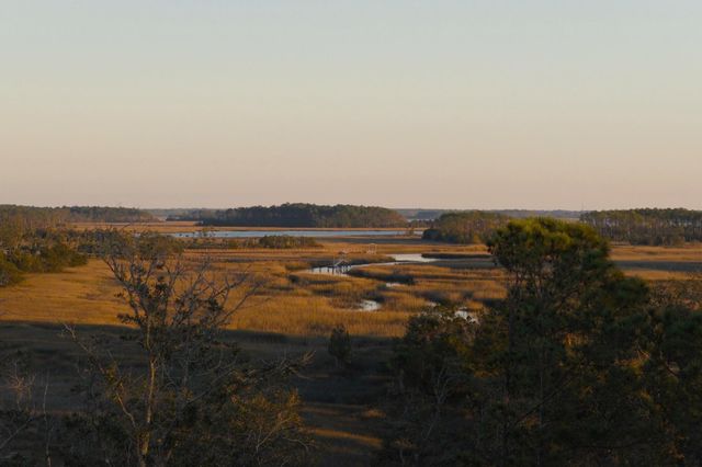 1077 Ship Builder Street, Daniel Island, SC 29492