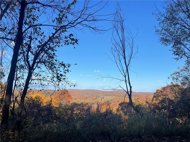 601 County Road 155, Eureka Springs, AR 72632