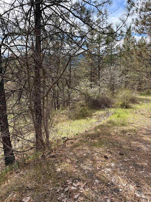 TBD Carlisle Ct Lots 11 & 15, Kamiah, ID 83536 photo 11