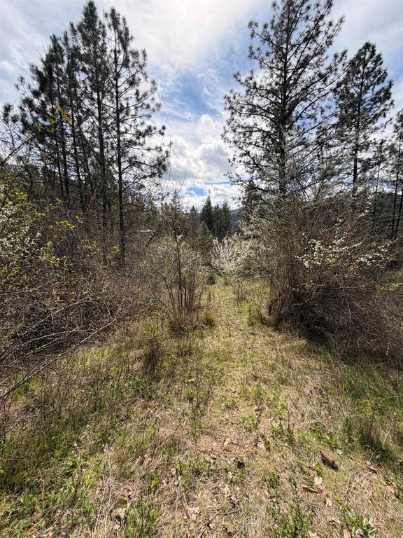 TBD Carlisle Ct Lots 11 & 15, Kamiah, ID 83536 photo 12